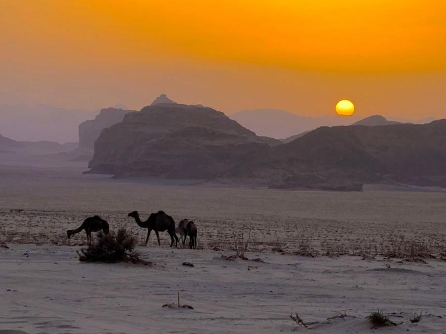White Desert Camp 瓦迪拉姆 外观 照片